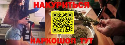 шишки Будённовск